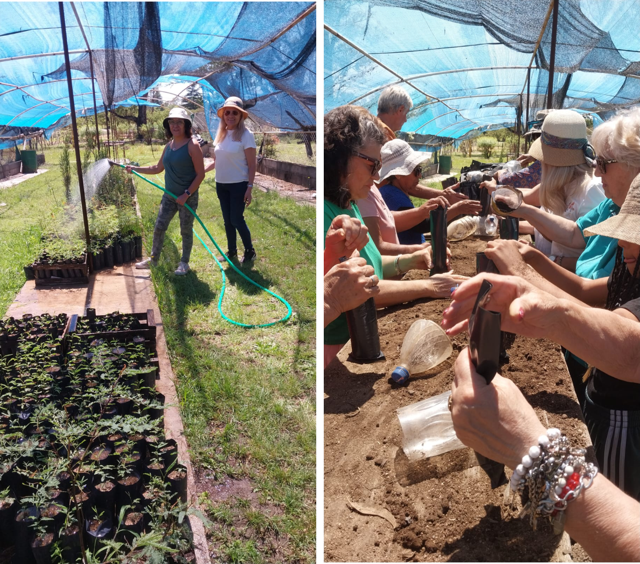 vivero forestal agec Imagen Local