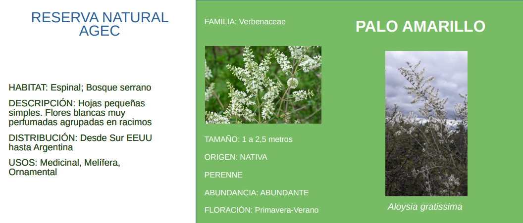 imagen Imagen Local